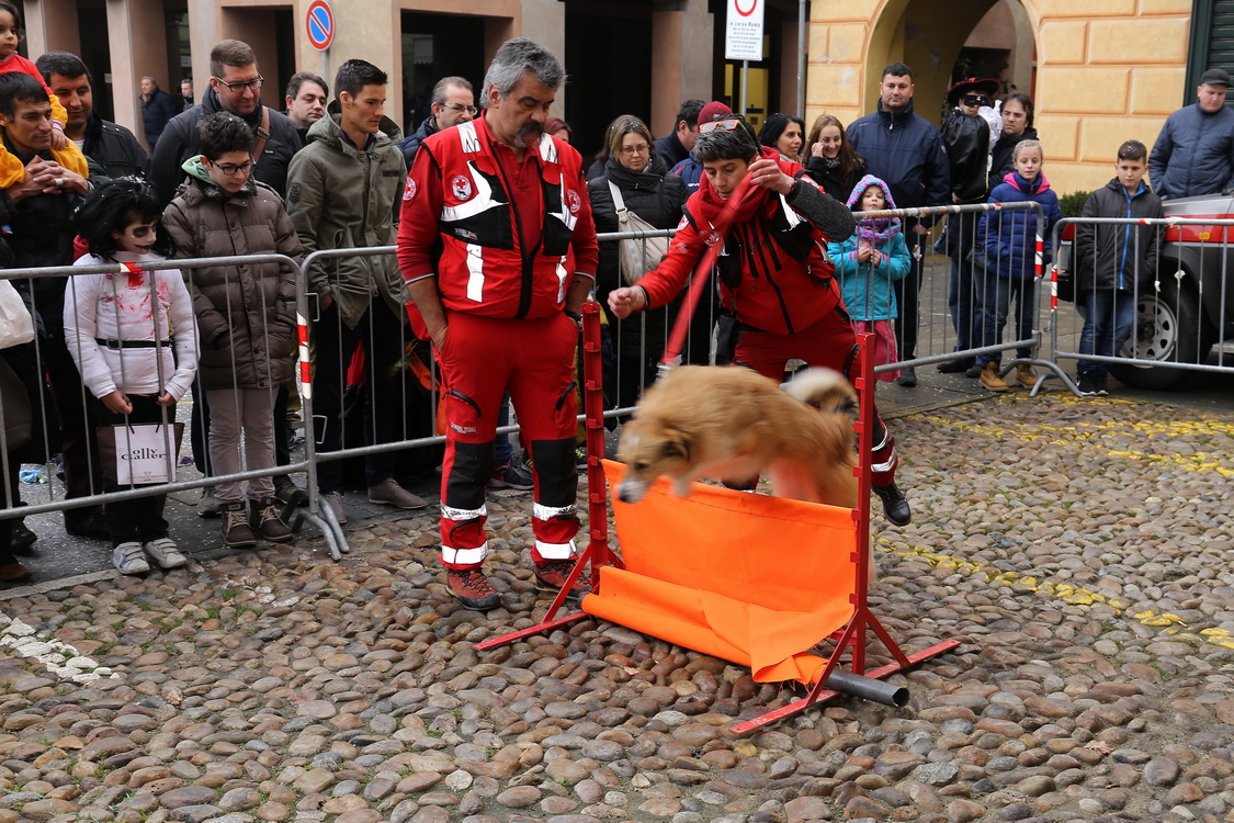 Carnevale 2016_167.JPG